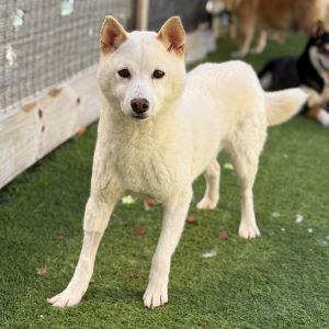 Marley 0201 - Photo 1